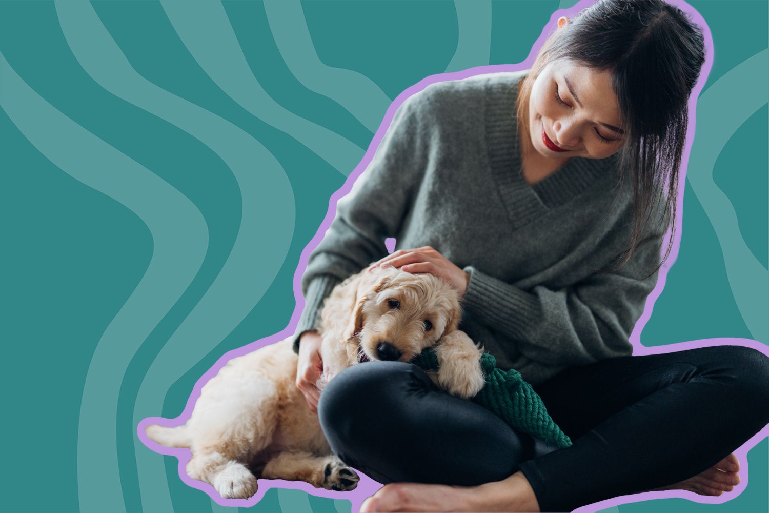 10 Amazing Dog Rescue Organizations in Los Angeles The Teacup Dogs